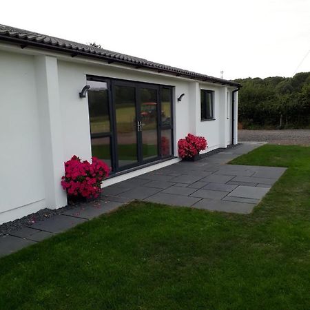 Foxholes Accommodation Felton  Exterior photo